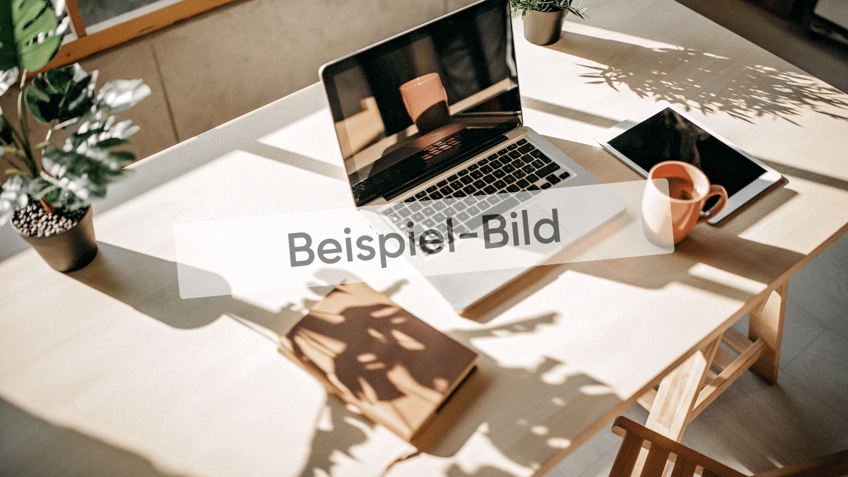 Beispiel-Bild Beispiel-Bild
