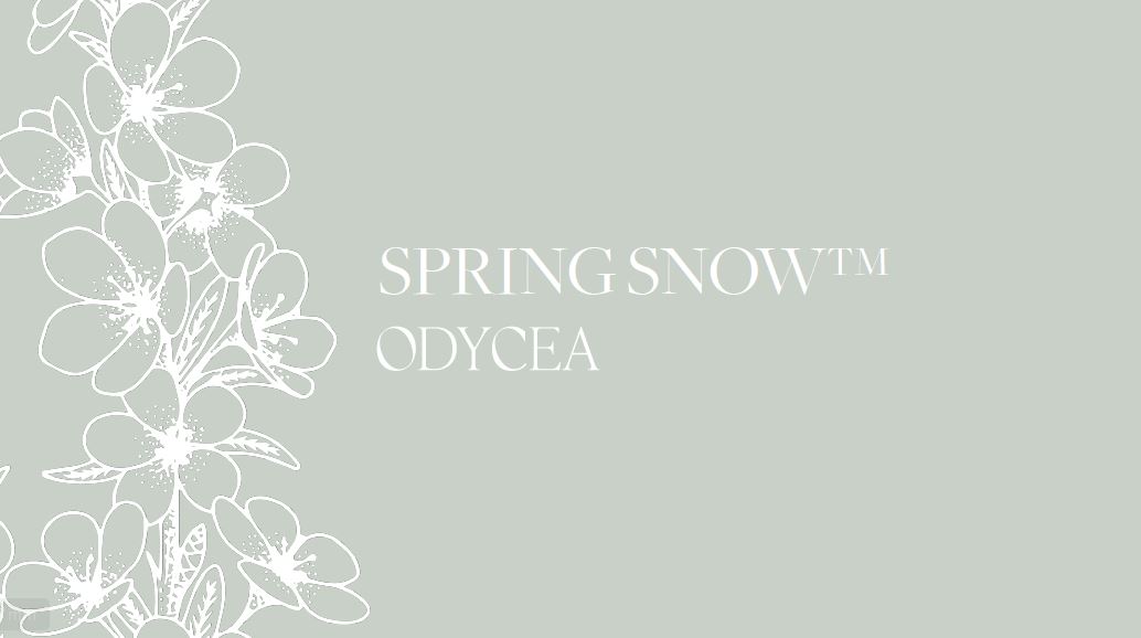 Exposom abschirmen mit dem Wirkstoff Spring Snow